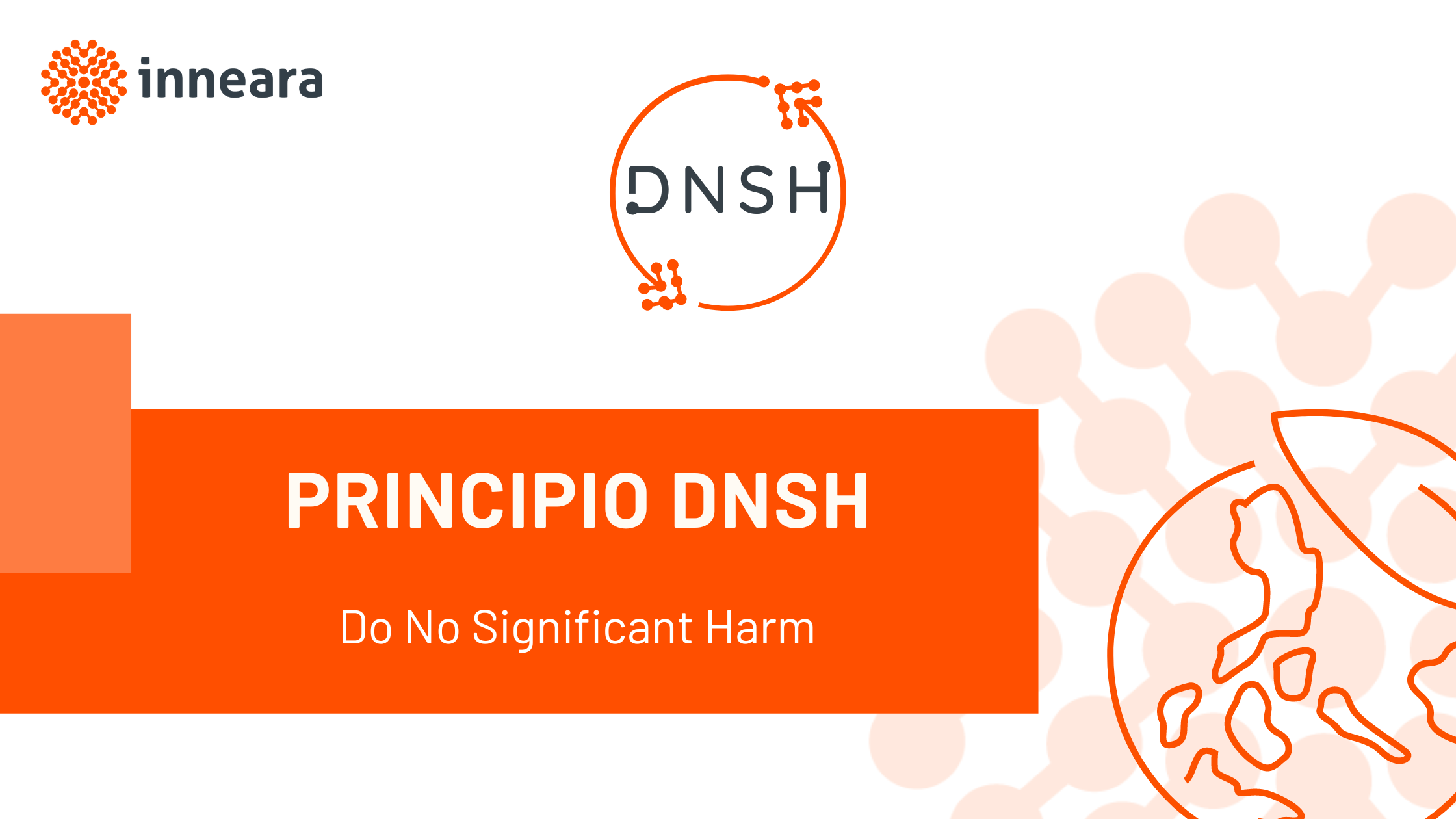 PRINCIPIO DNSH
